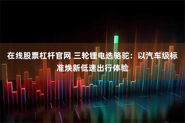 在线股票杠杆官网 三轮锂电选骆驼：以汽车级标准焕新低速出行体验